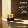 ISDIN A.G.E Crème de Nuit Inverse 50ml